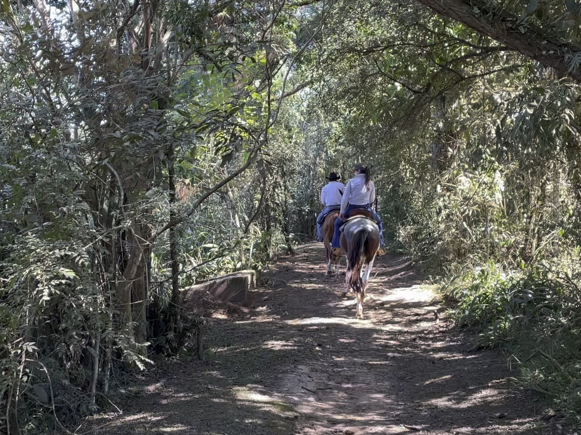 Passeio Guiado